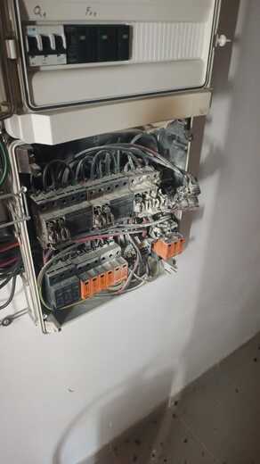 IMG-20260601-WA0000.jpg